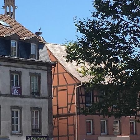 Ferienwohnung Les Hauts De Colmar Exterior foto