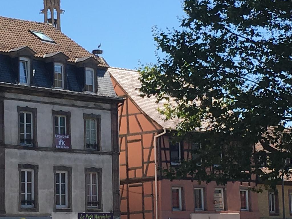 Ferienwohnung Les Hauts De Colmar Exterior foto